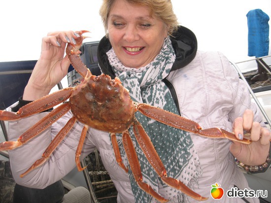 3 ����: ��������� ��������