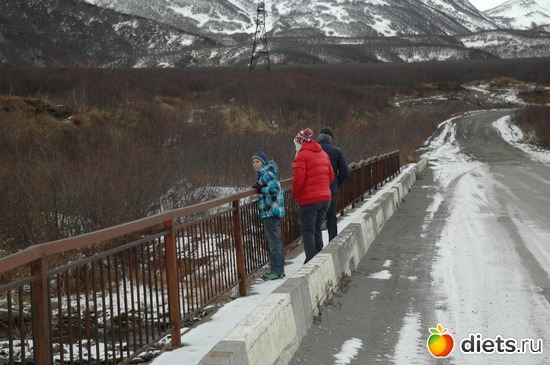 5 ����: ��������� ��������