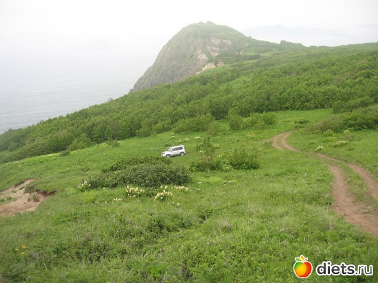 6 ����: ��������� ��������