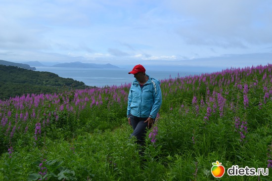 8 ����: ��������� ��������