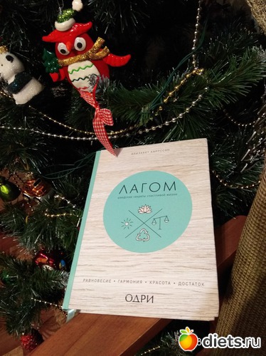 24 ����: �����