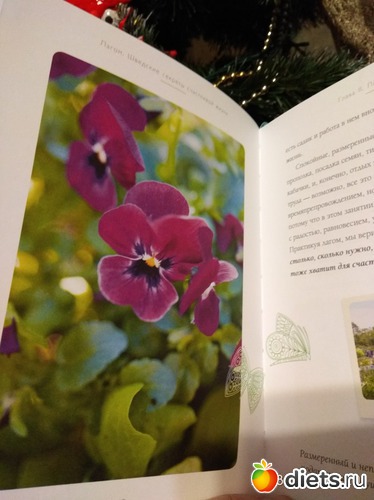 25 ����: �����