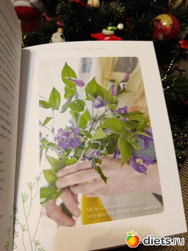 28 ����: �����