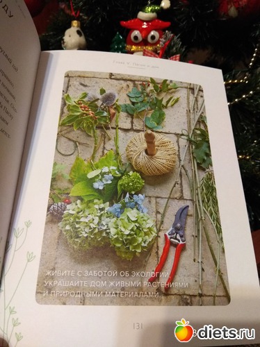 29 ����: �����