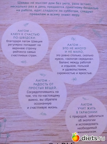 41 ����: �����