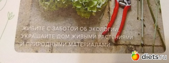 32 ����: �����