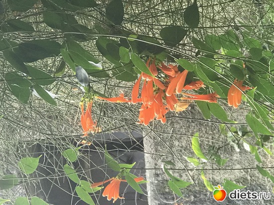 41 ����: ������ 2018