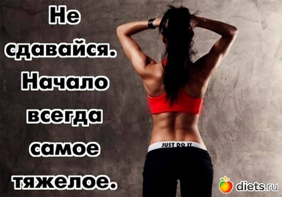 23 ����: ����-���������