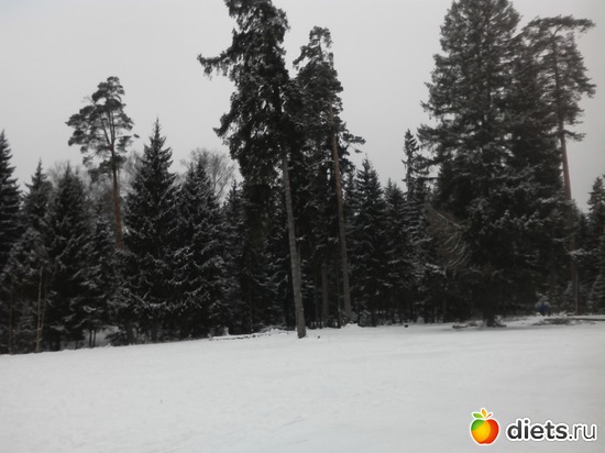 1 ����: ����