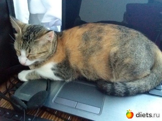 47 ����: ��� ��������