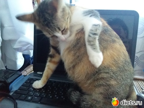 48 ����: ��� ��������