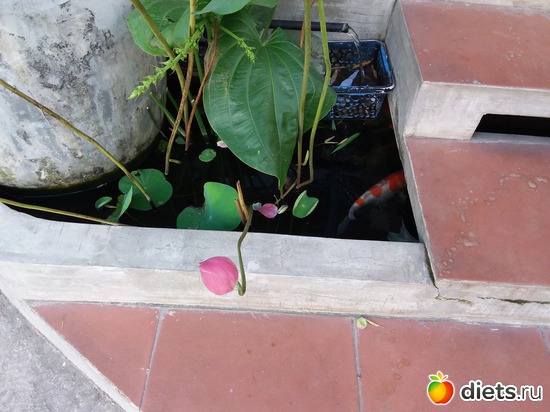 174 ����: ������