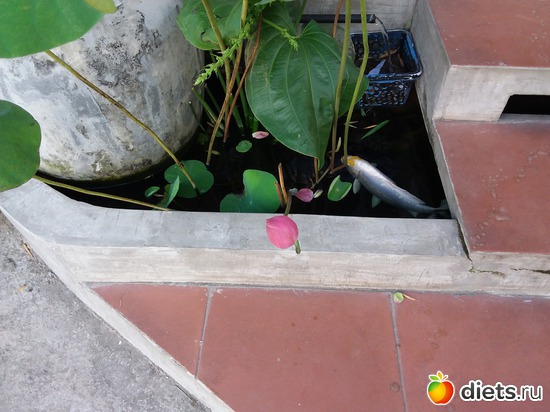 175 ����: ������