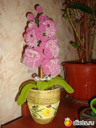 1 ����: �����