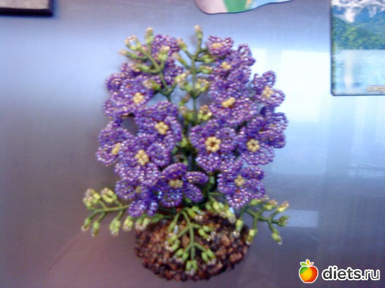 2 ����: �����