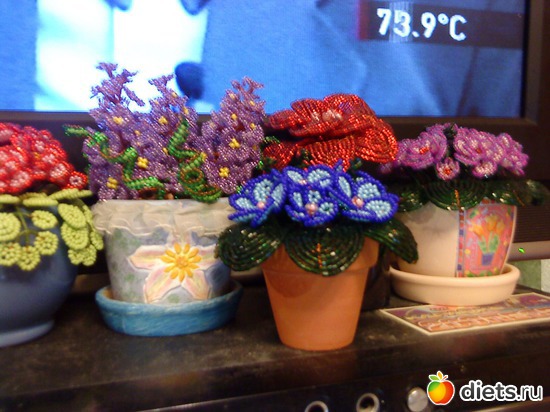 4 ����: �����