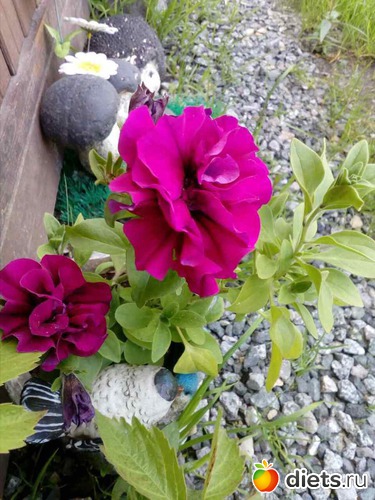 6 ����: � ����������