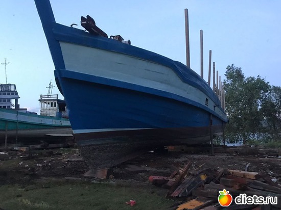 1 ����: ��� ��� �������