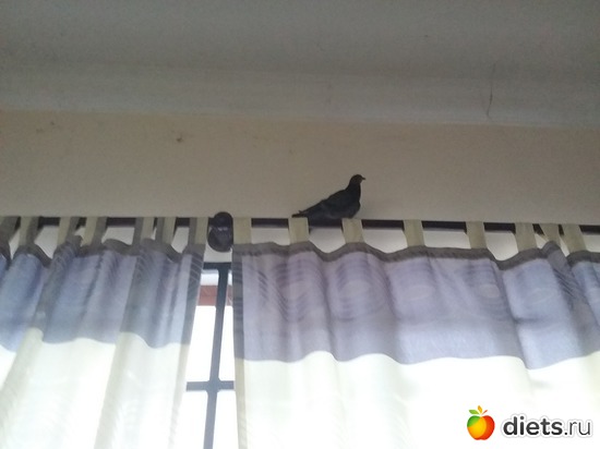 49 ����: ��� ��������