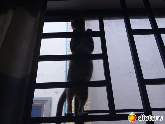 50 ����: ��� ��������