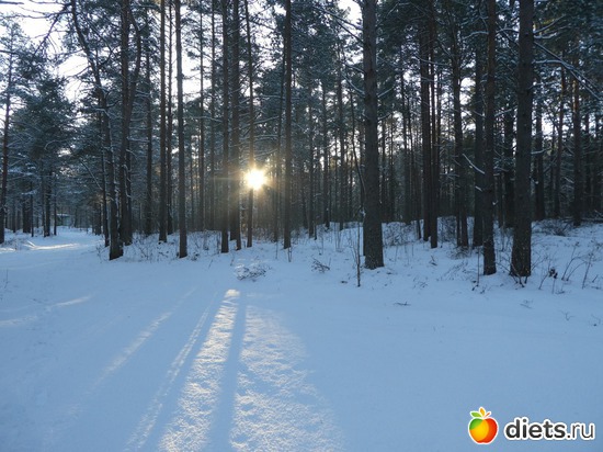 4 ����: 8 ������ 2018