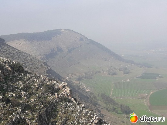 61 ����: ������ 2018