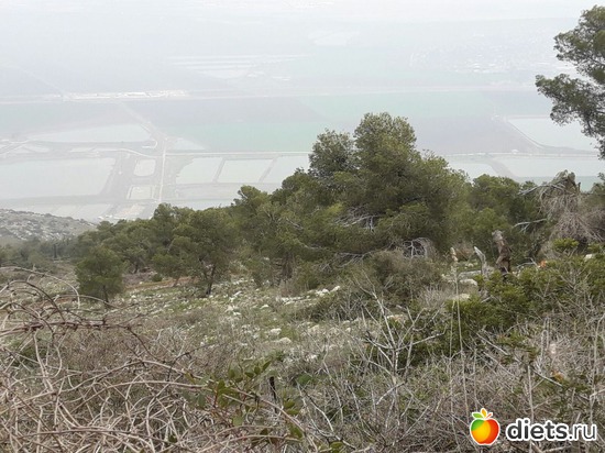 62 ����: ������ 2018