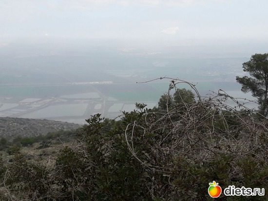 65 ����: ������ 2018