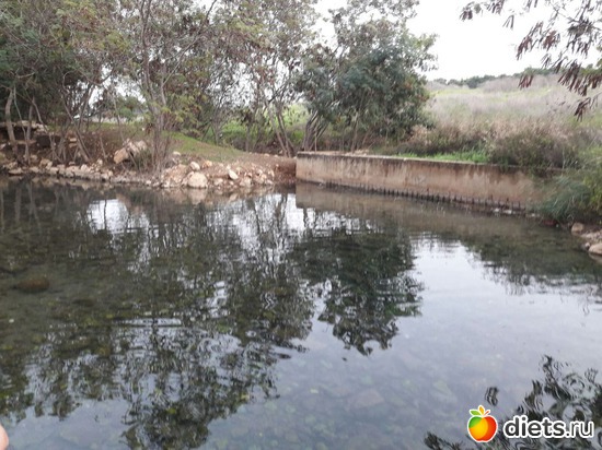 66 ����: ������ 2018