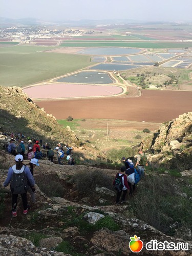 68 ����: ������ 2018