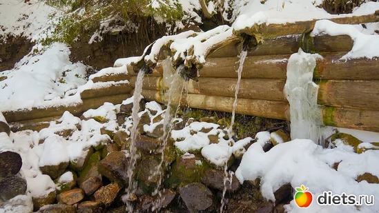 7 ����: �������� ����