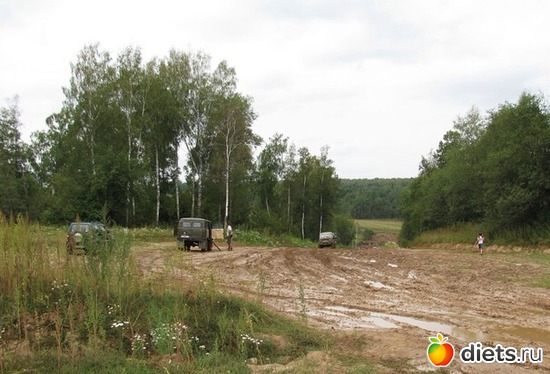 12 ����: �������� ����