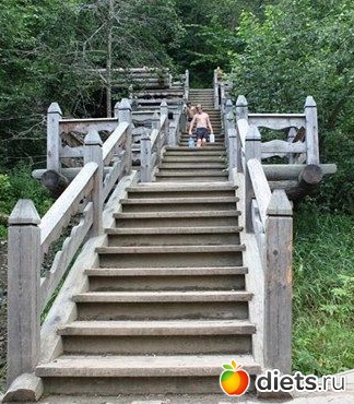 �������� ����