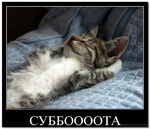    &quot;  60&quot;.      20.01.2018