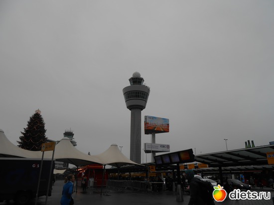 �������� ����������, ������: ���������