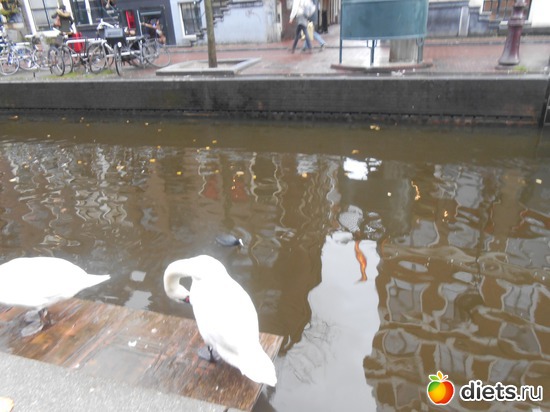 6 ����: ���������