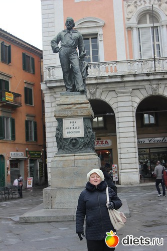 �����. �������� ����������, ������: ������