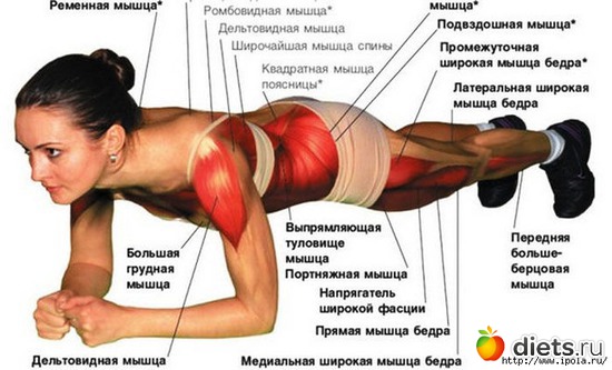 1 ����: �����