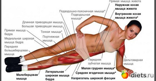 3 ����: �����