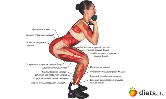 7 ����: �����