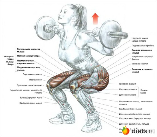 8 ����: �����