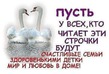 ����� �� ������� " ����� 60". ����� �� ������� �� 25.01.2018
