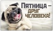 ����� �� ������� ����� 60. ����� �� ������� �� 26.01.2018