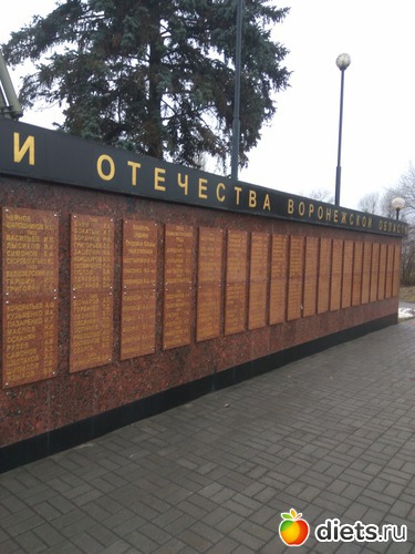 12 ����: ���� ���������