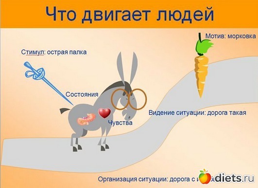 ��� ����