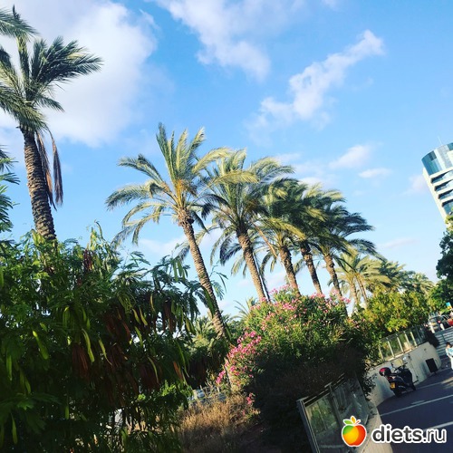 30 ����: ���� 2018