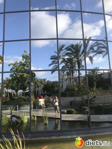 31 ����: ���� 2018