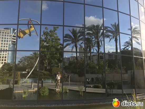 36 ����: ���� 2018