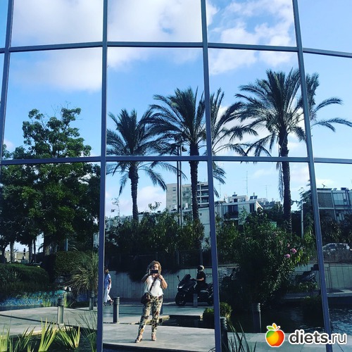 38 ����: ���� 2018