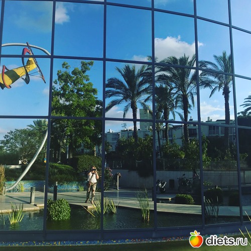 40 ����: ���� 2018